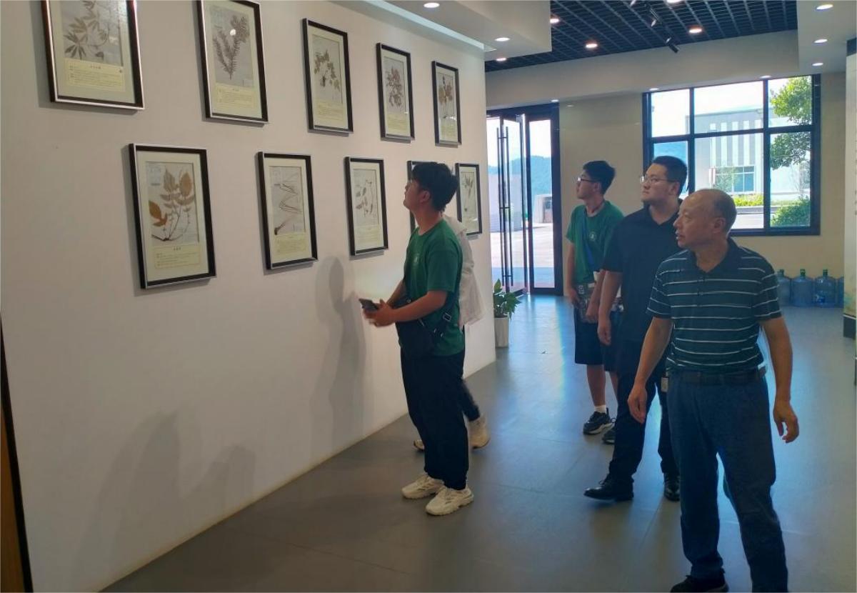 何经理引导团队成员参观欣中医药标本展厅（9428cn太阳集团 供图）(1)
